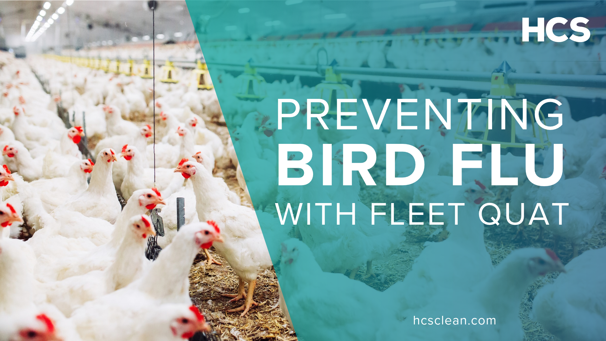  Quat Sanitizer for Farm Trucks: Reduce Your Bird Flu Risk